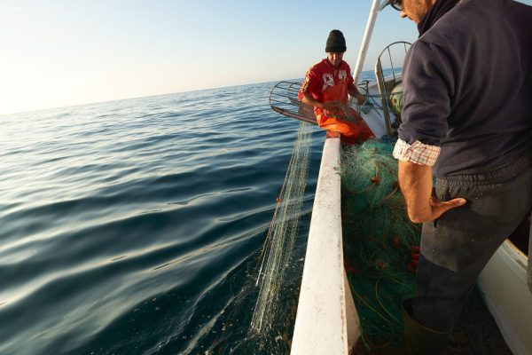 foto pescando